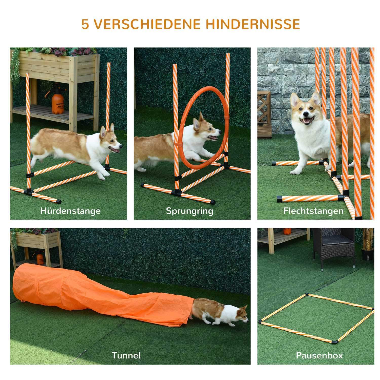 Dog Agility Set Hundträningsset Med Hundtunnelträning För Husdjur Inkluderar Väska Lätt Att Bära Plast Polyester Orange＋Vit