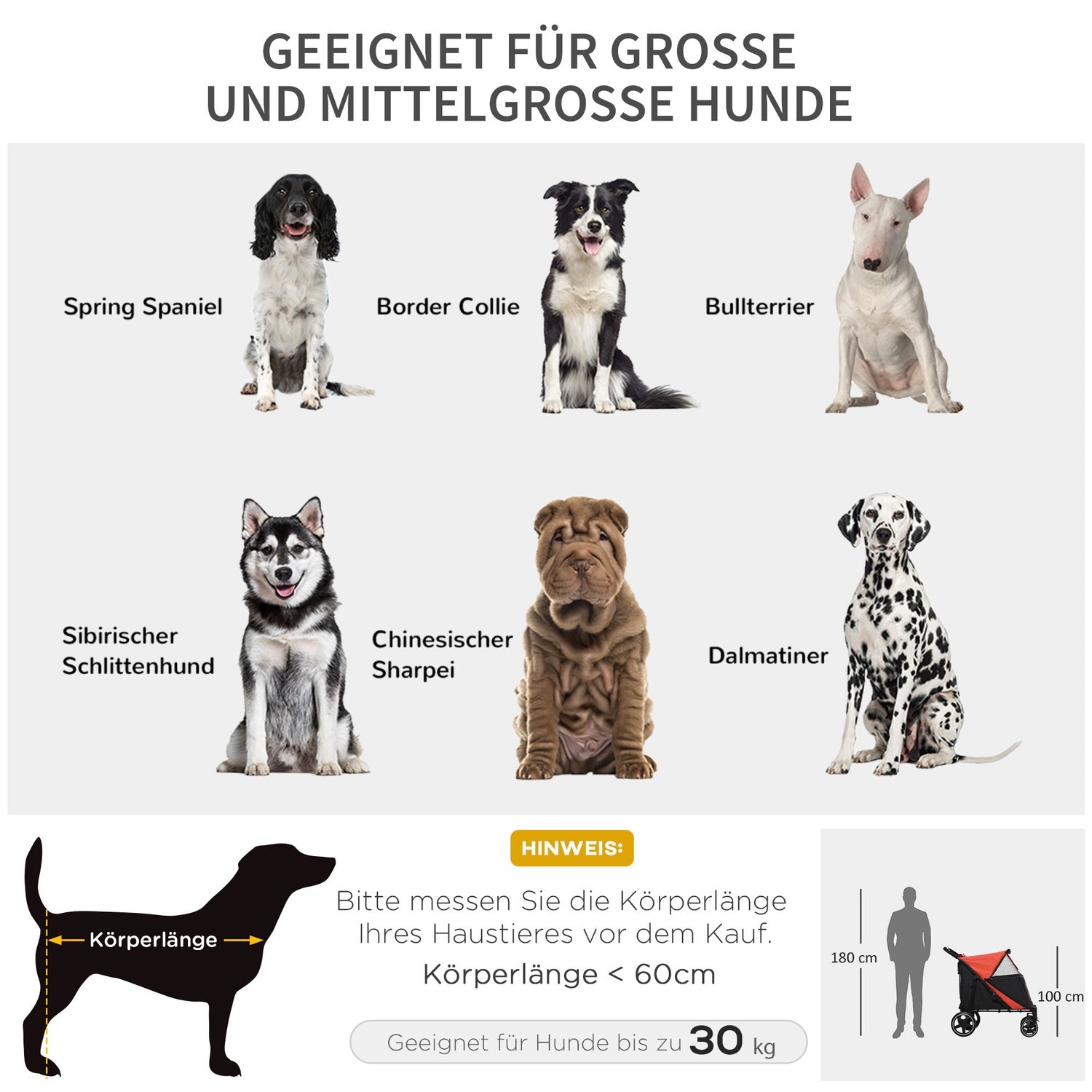 Hopfällbar hund- och kattvagn, nätfönster och säkerhetskoppel