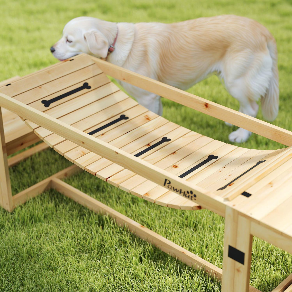 Hund Agility Set för stora hundar – Gran Wood, Set om 4