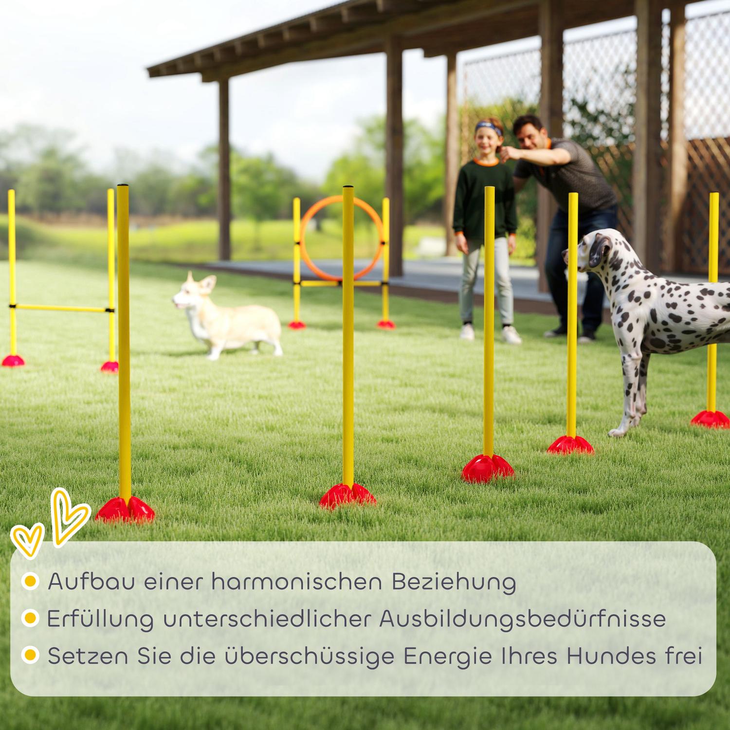 Hund Agility Training Set, 4-delad justerbar utrustning