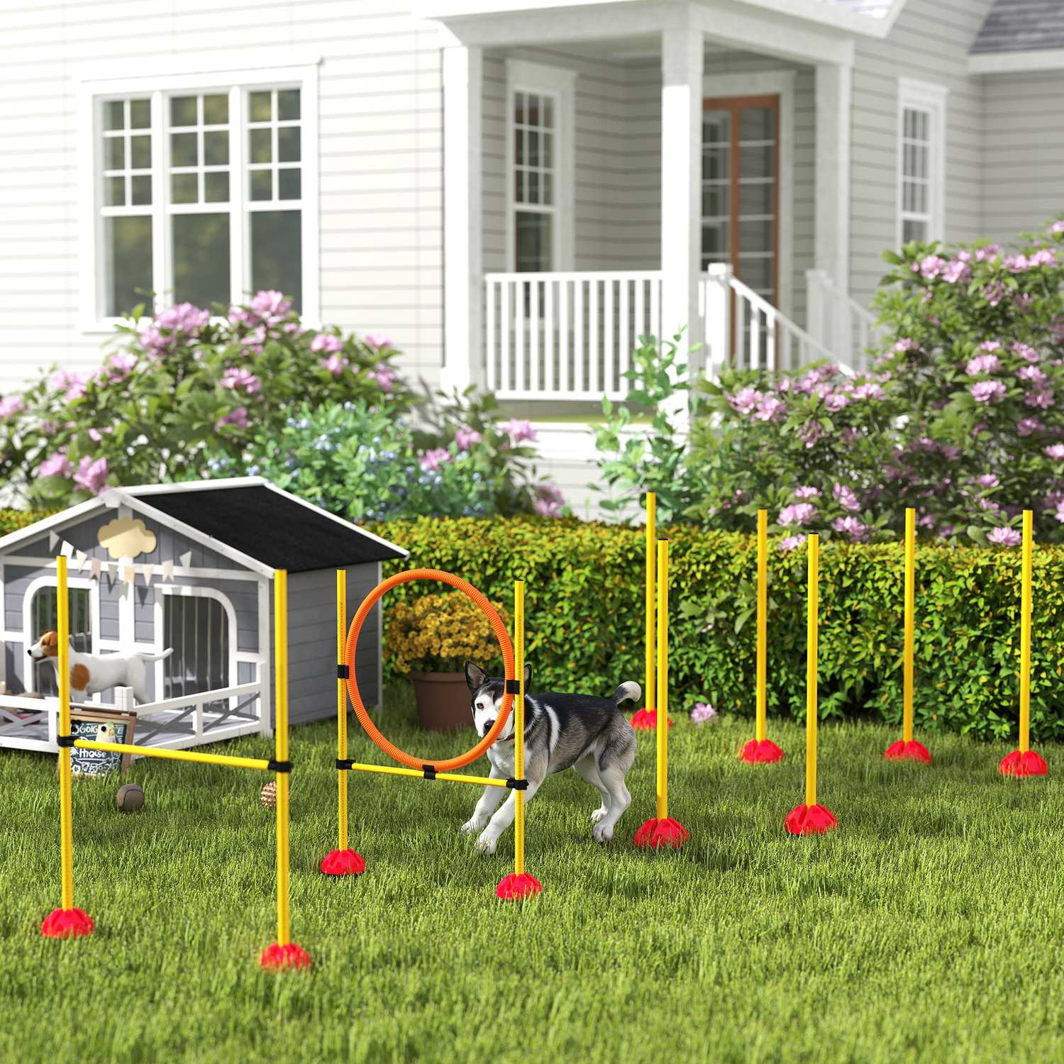 Hund Agility Training Set, 4-delad justerbar utrustning