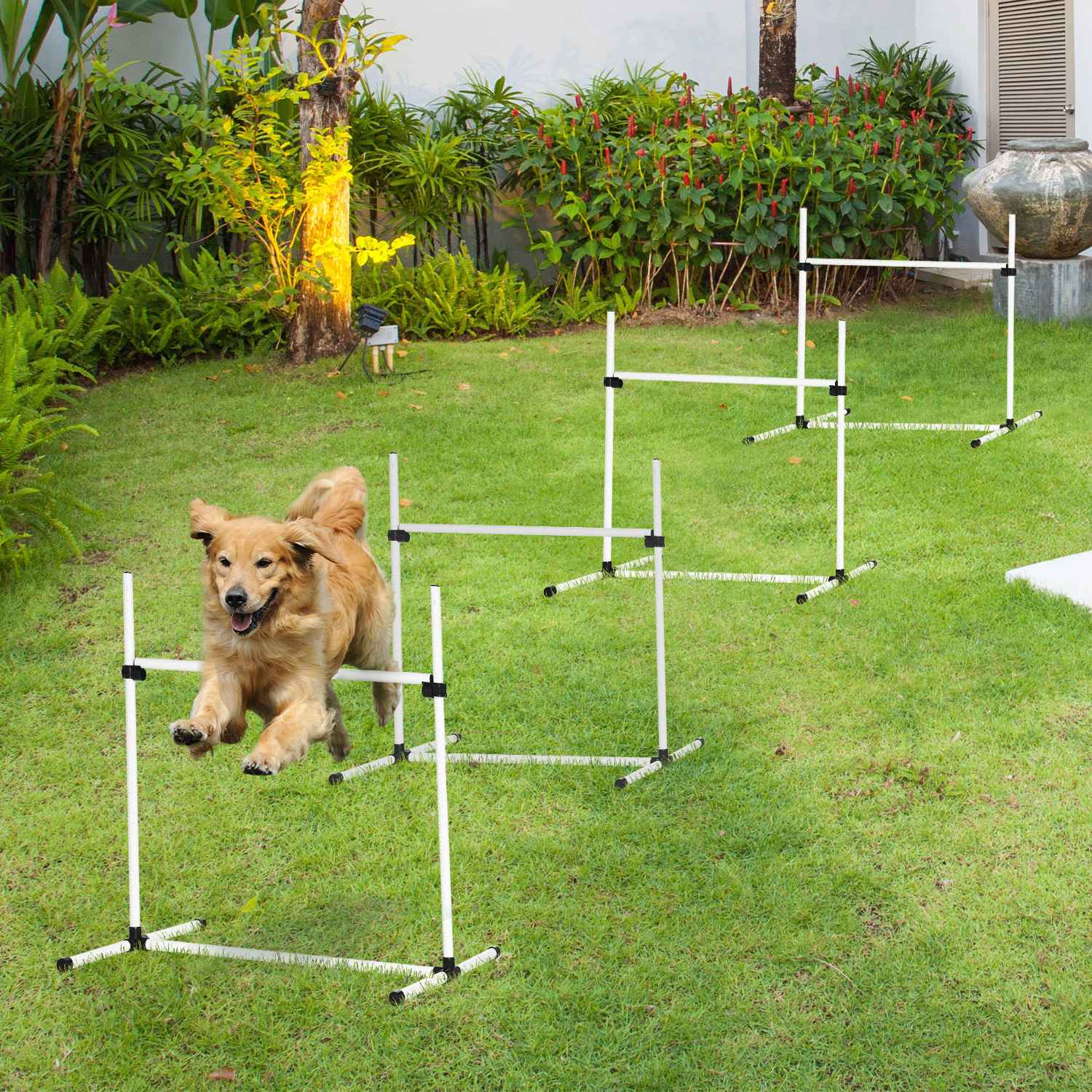 Hund Agility Training Set – 4 slalomhäck, vit