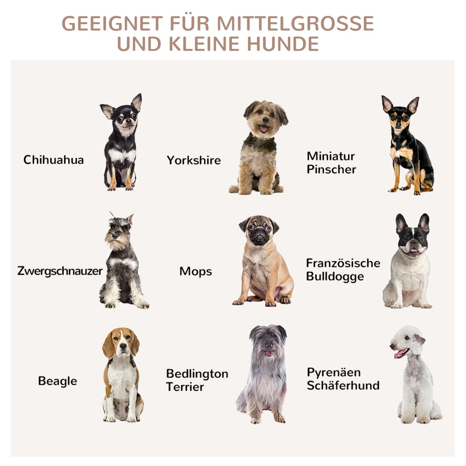 Snygg medelstor hundbur med bordsskiva, låsbar dörr