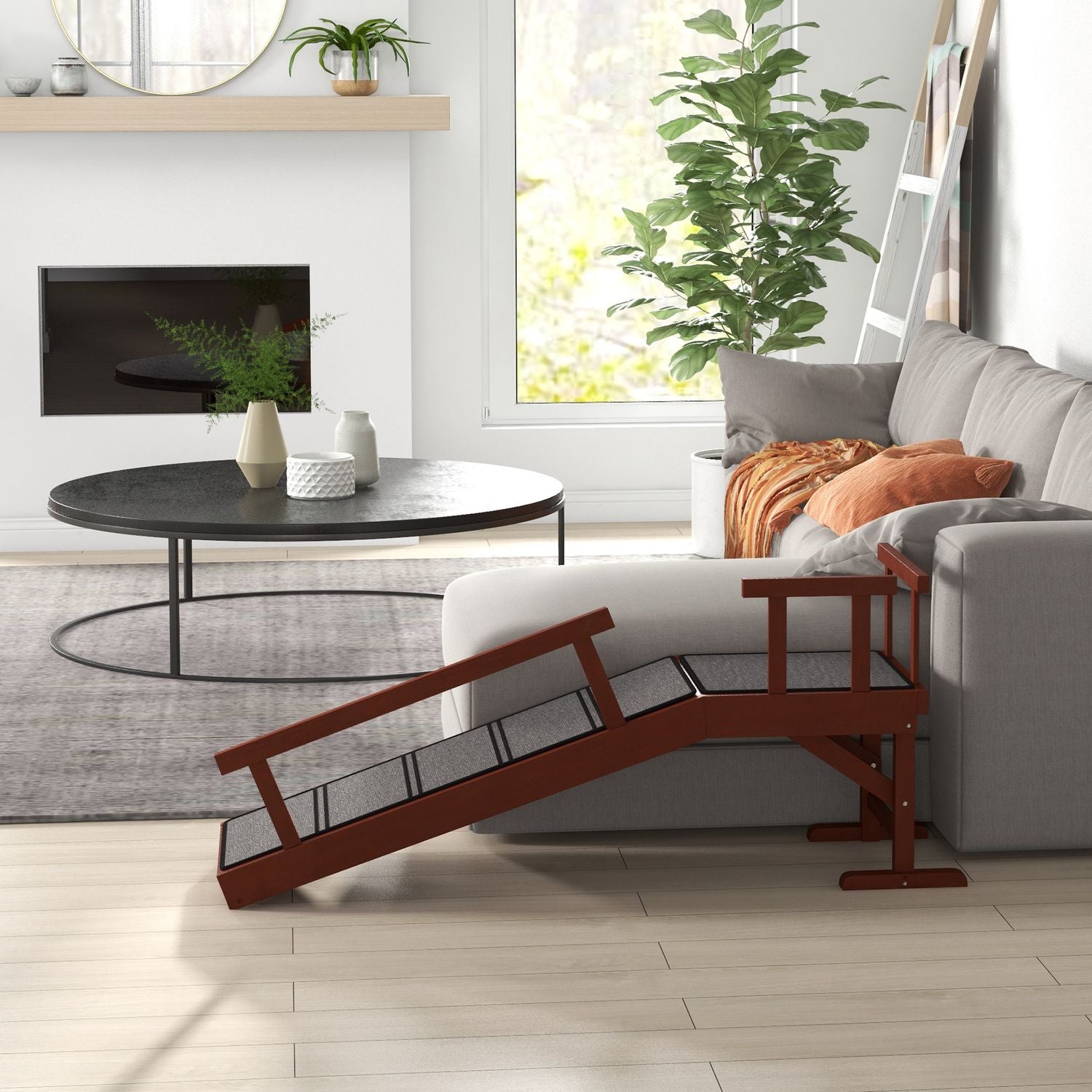 Hundramp med löstagbara skenor, halkfri, stödjer 30 kg