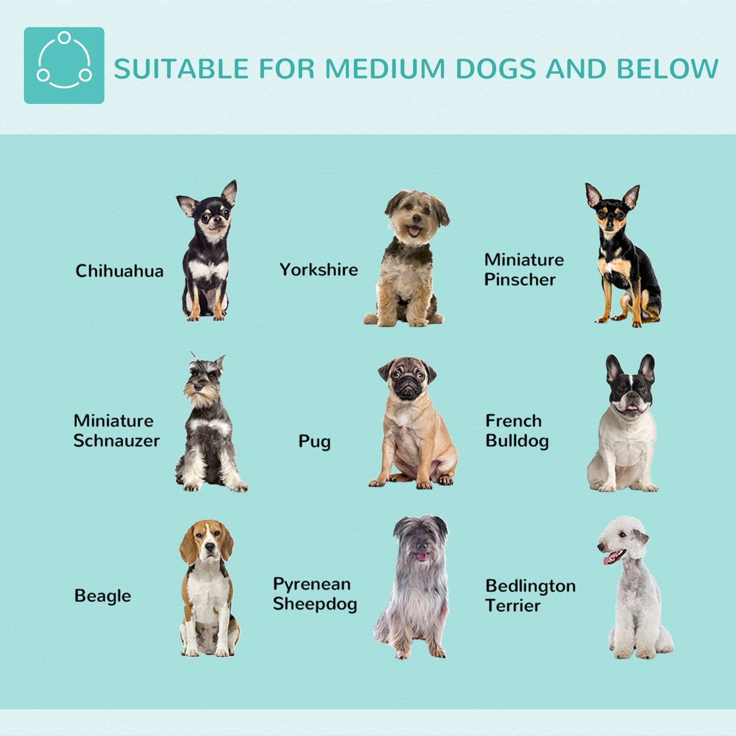 Justerbar husdjursvårdsarm med klämma för medelstora hundar