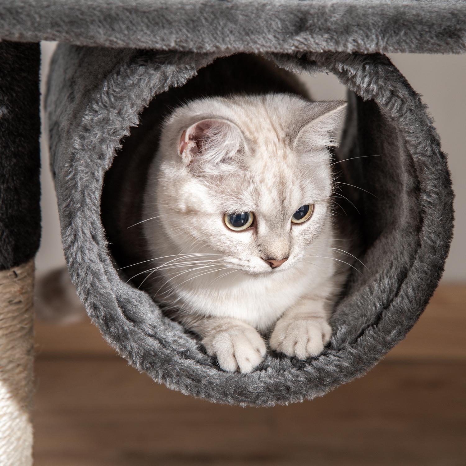 Justerbart kattträd i takhöjd med skrapstolpe