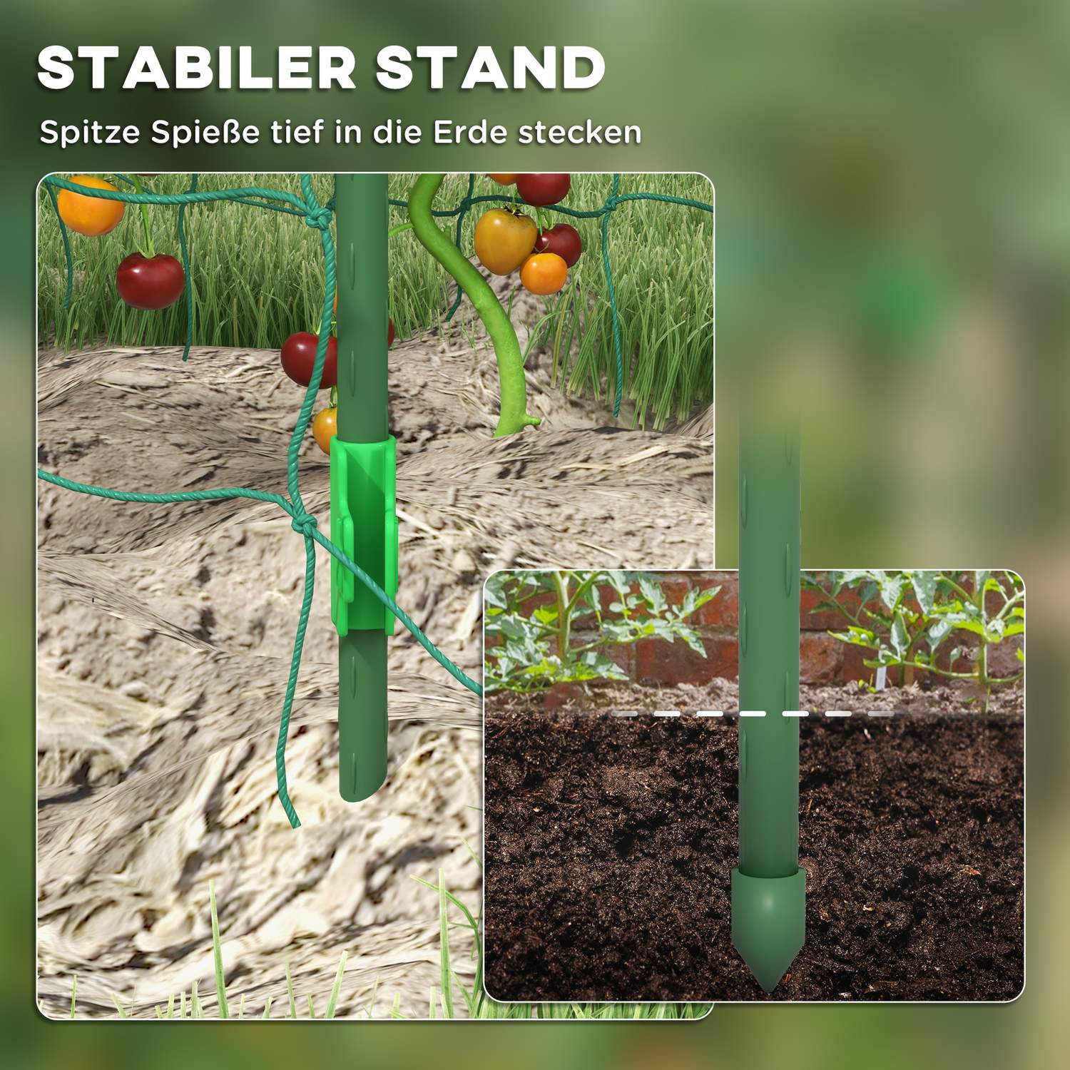 Justerbar växtspaljé i stål med nät för trädgård