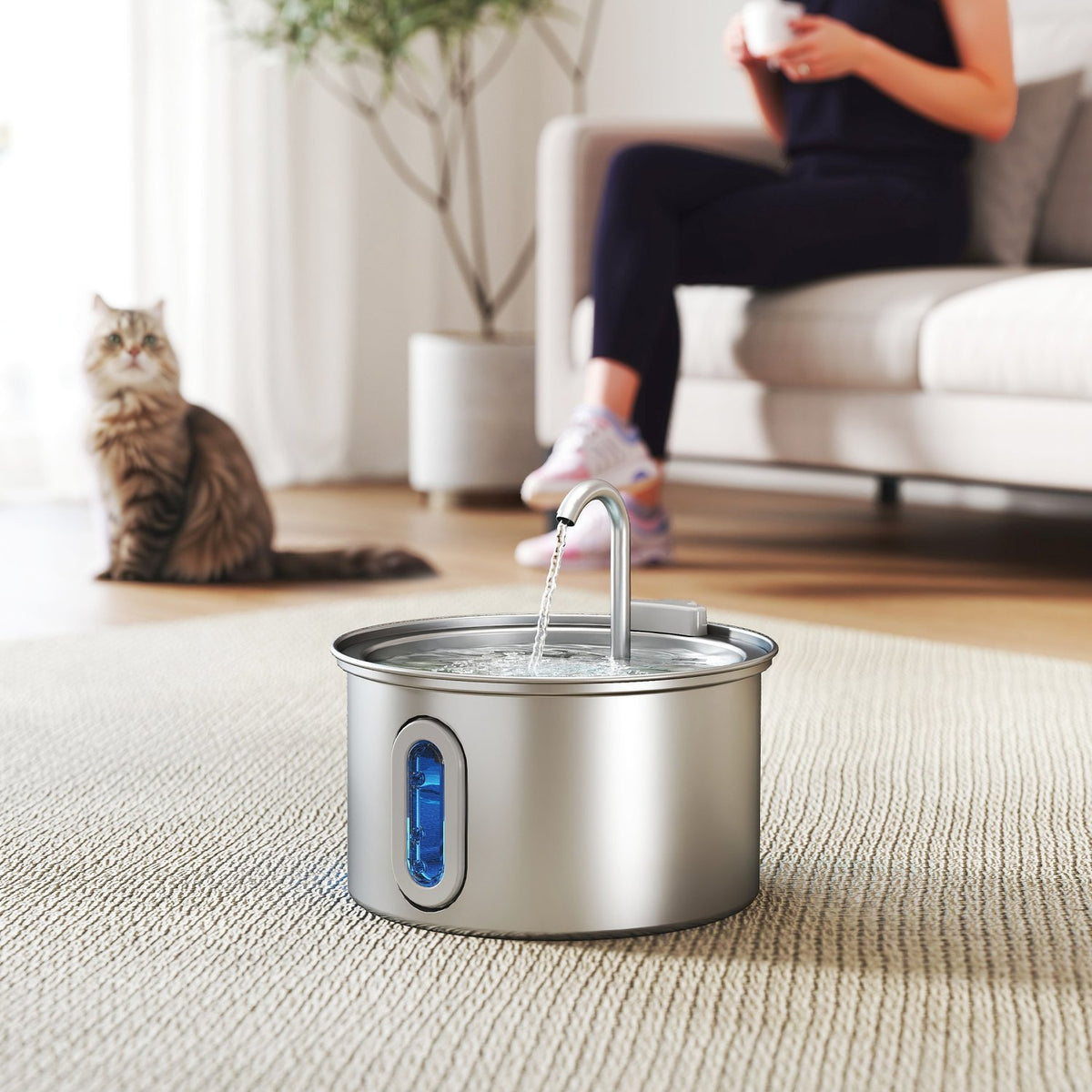 Kattfontän 2,5L dricksfontän för katter med tyst pump LED aktivt kolfilter 19,4 x 19,4 x 18,7 cm
