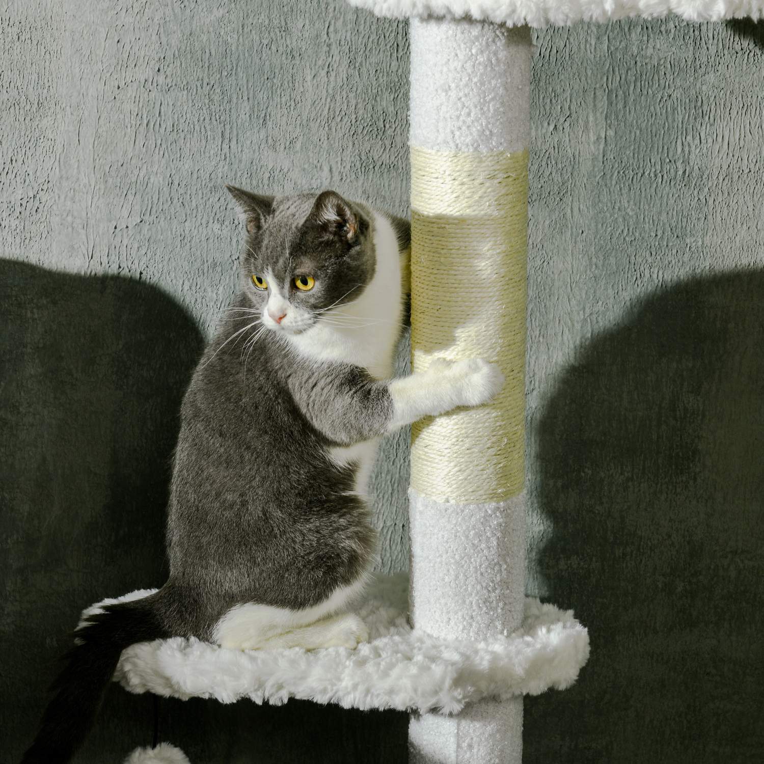 Kattträd med högt i tak med hängmatta och klätterstege