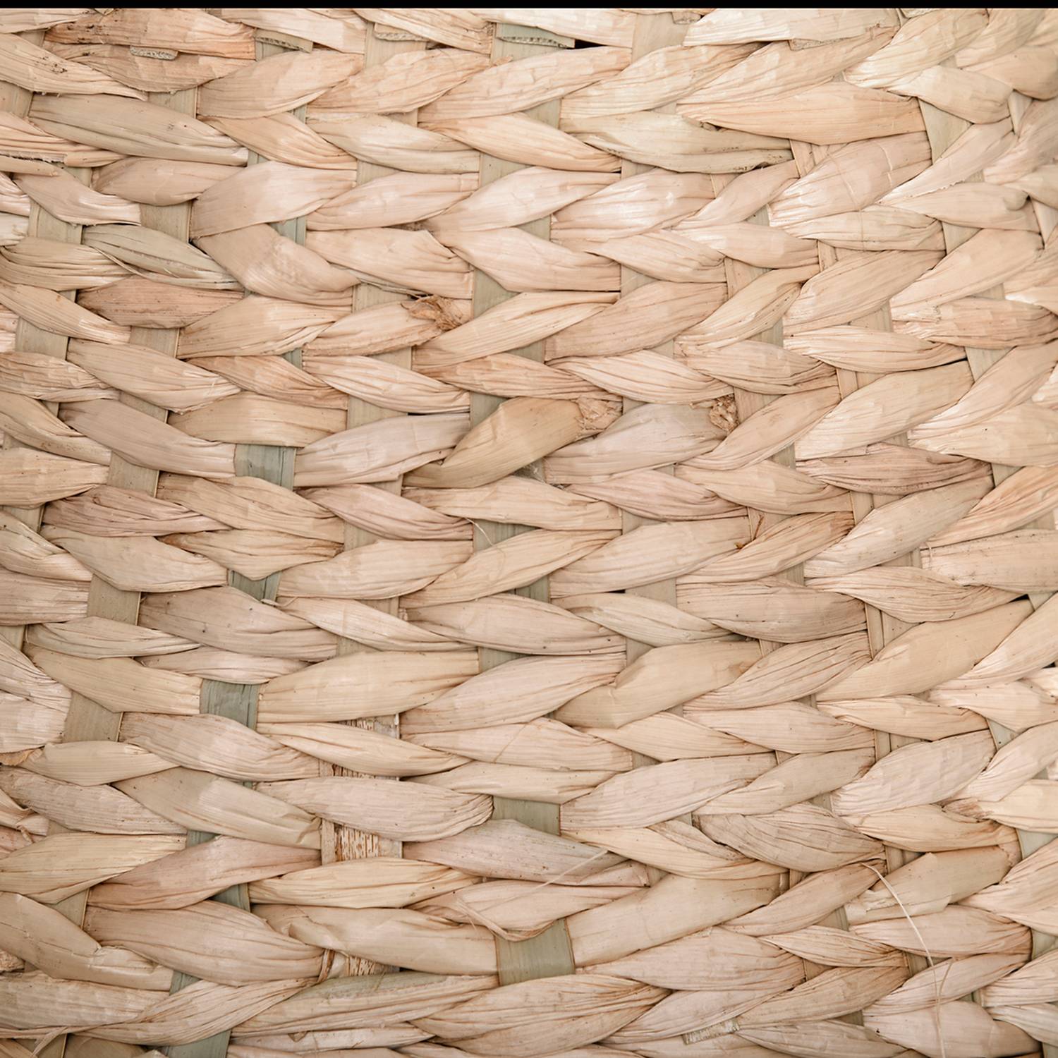 Kattträd med sisalskrapstolpe och grotta – gul, 82,5 cm