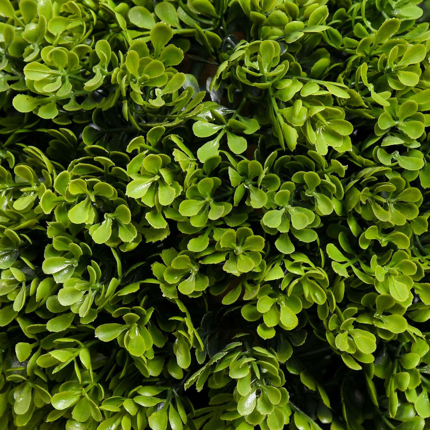 Konstgjord buxbomväxt i kruka, 115 cm dekorativ grönska