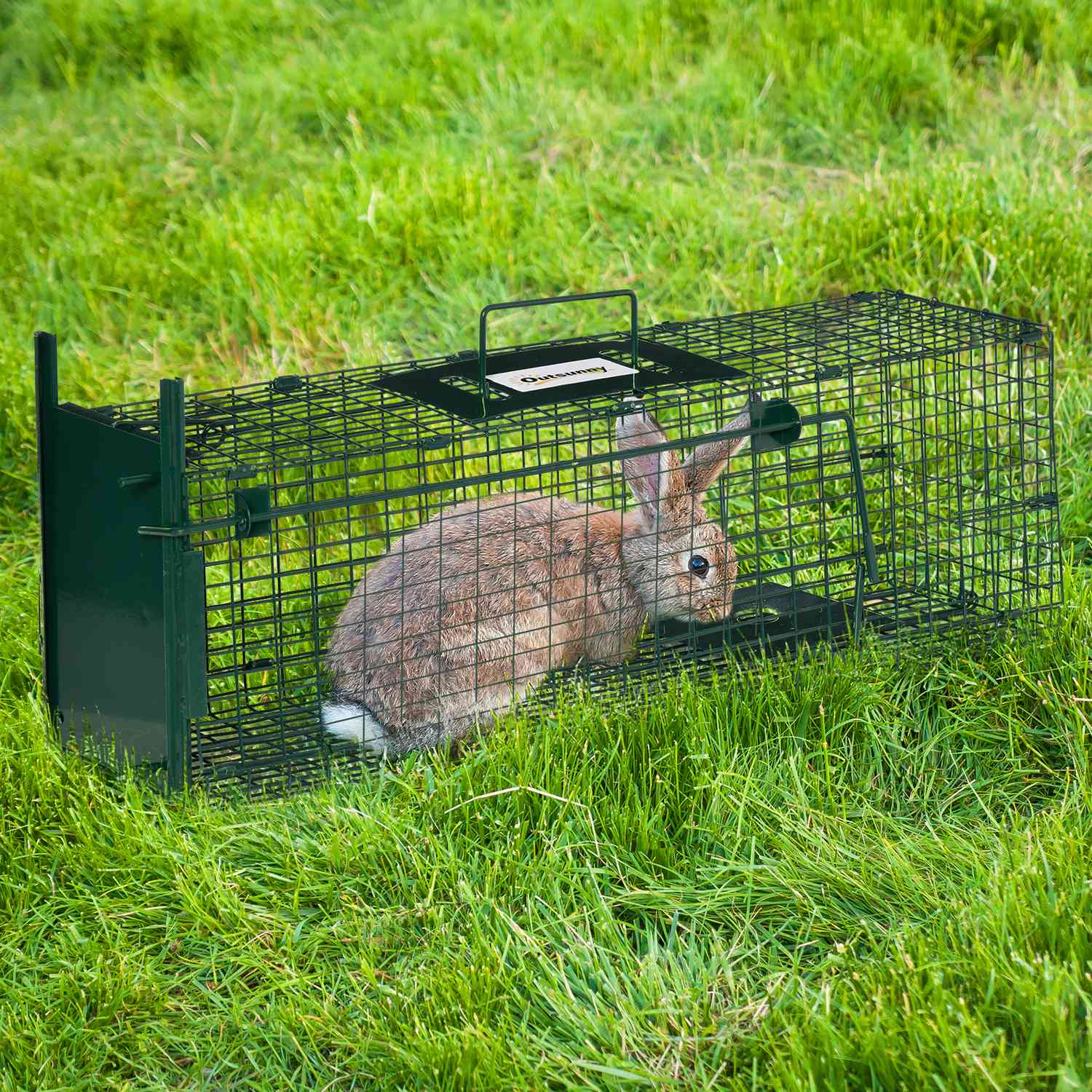 Levande fälla för mårdar och råttor, stål, 60x18x20 cm