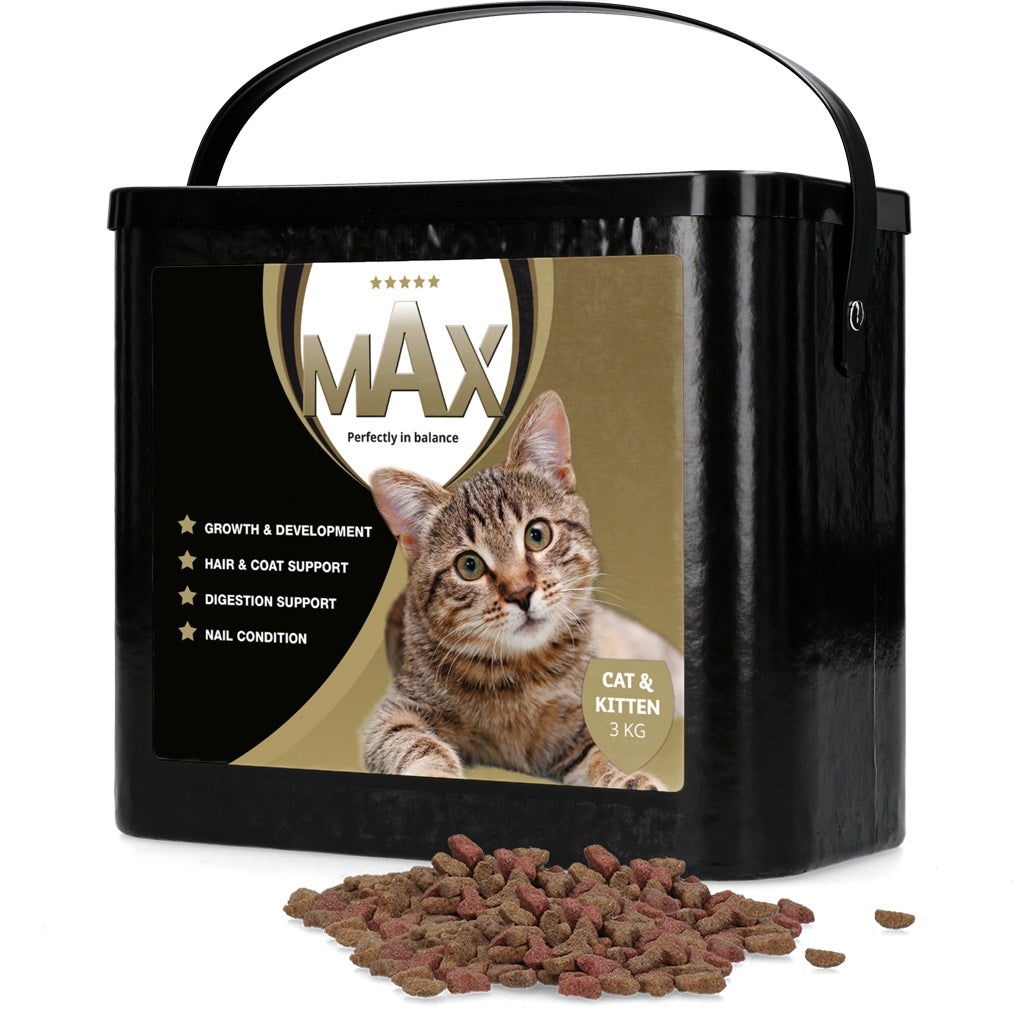 Max Kat och Kitten