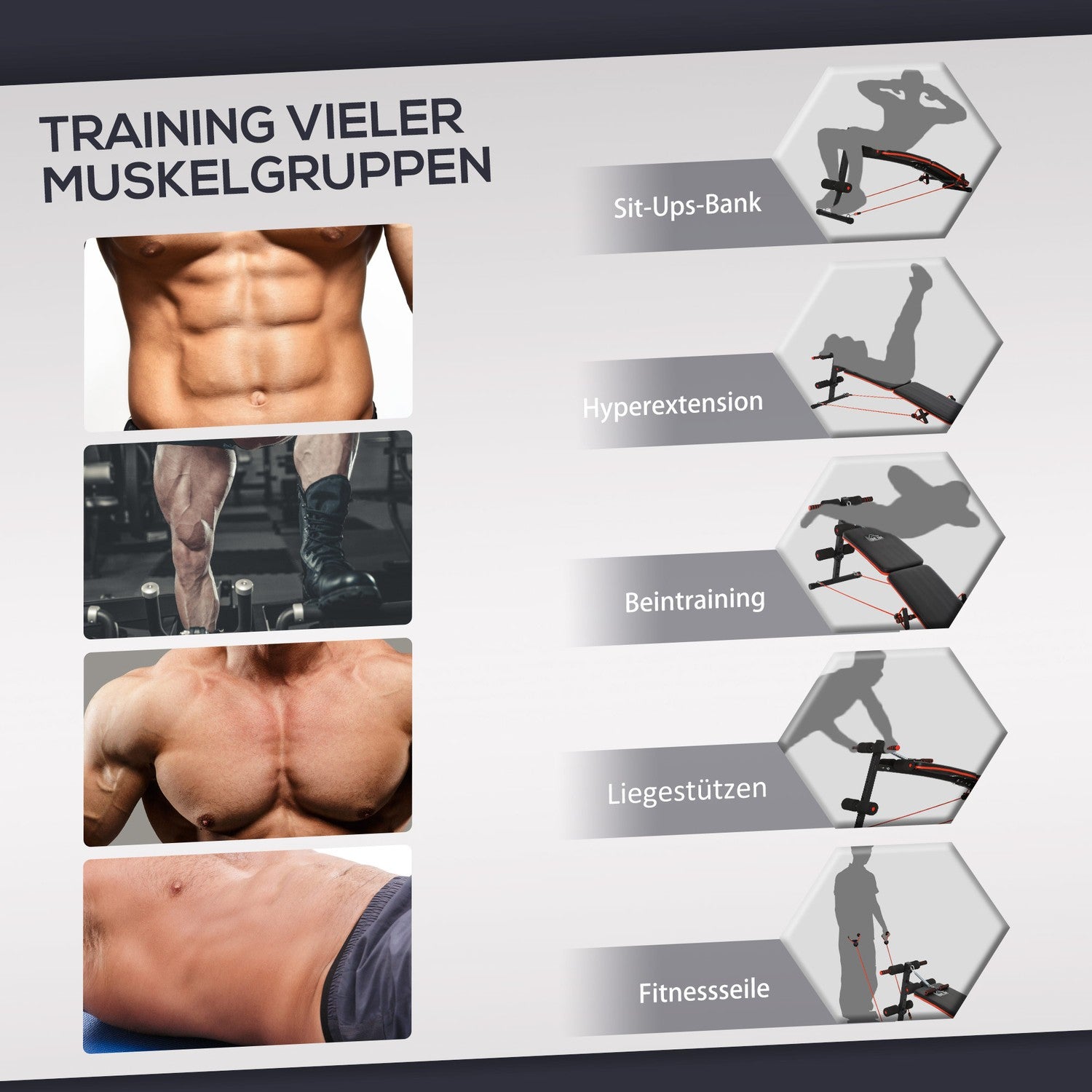 Sit Up Bänk med träningslinor, justerbar och hopfällbar