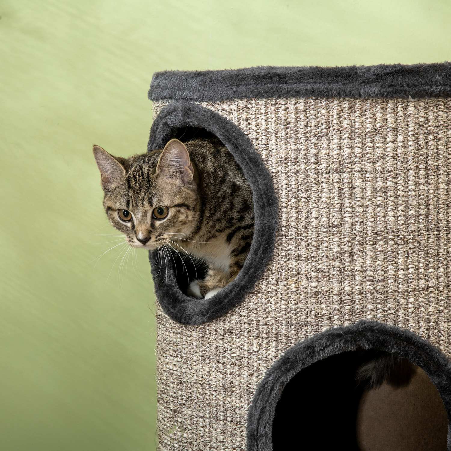 Cat Scratching Barrel med 3 sisal- och plyschgrottor, grå