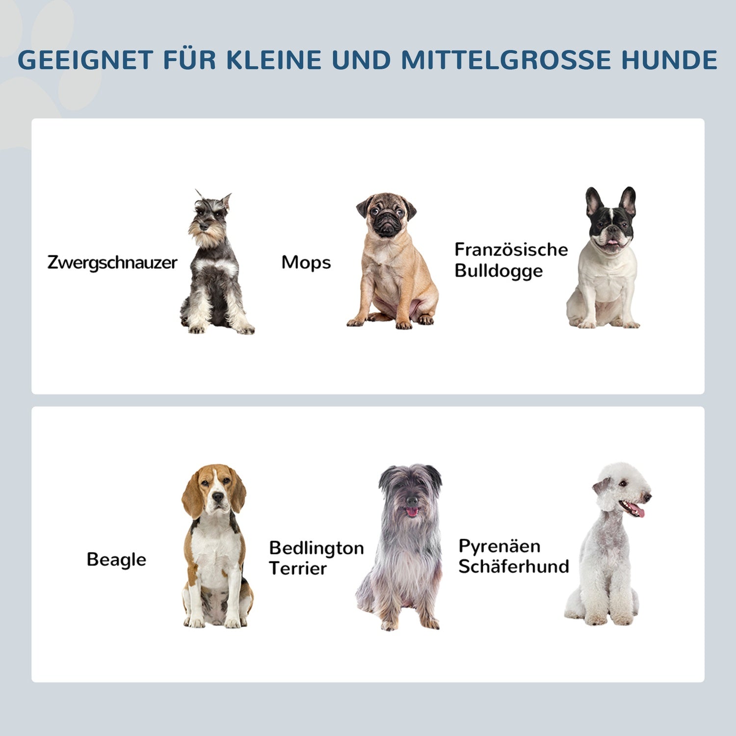 Upphöjda husdjursskålar, rostfritt stål, lätt att rengöra, 2L kapacitet