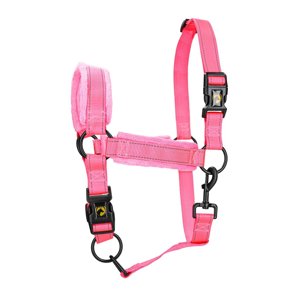 Utmärkt Horse Superior Grimma S Föl Rosa