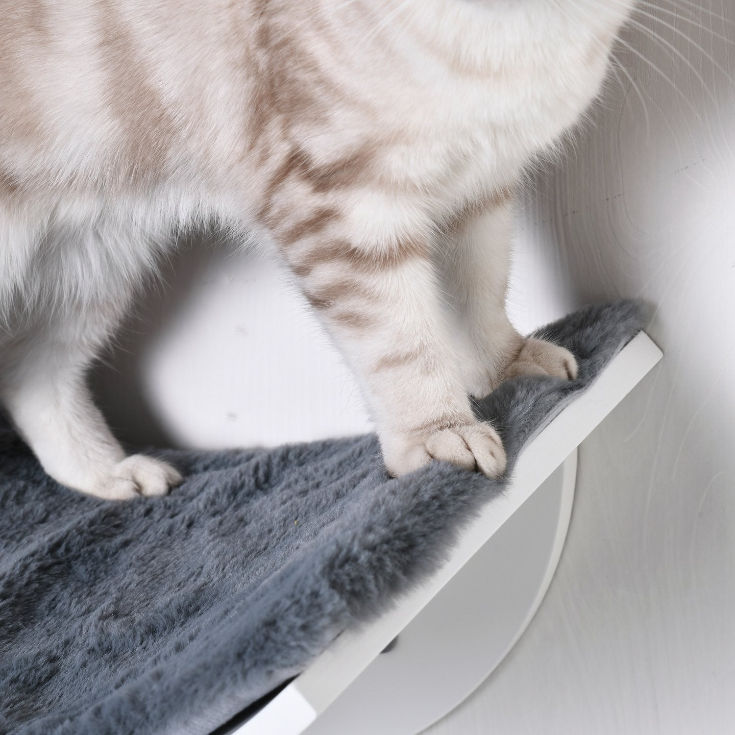 Väggmonterad kattsäng – snygg med plyschkudde, enkel installation