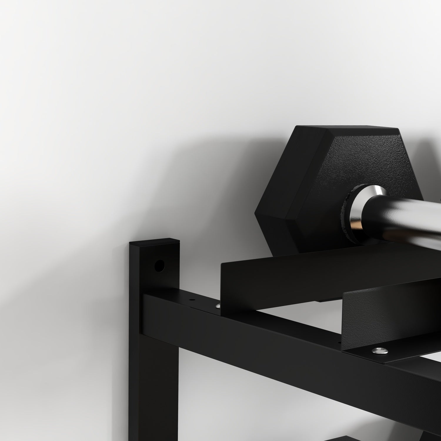 Väggmonterat hantelställ, 2 hyllor, 70 kg kapacitet