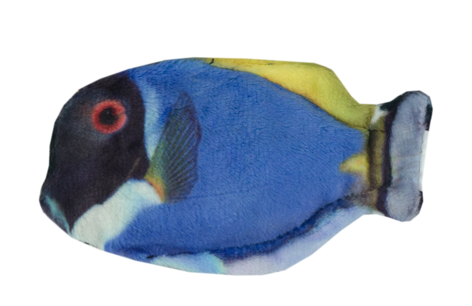 Wild Life Cat Blue Tang