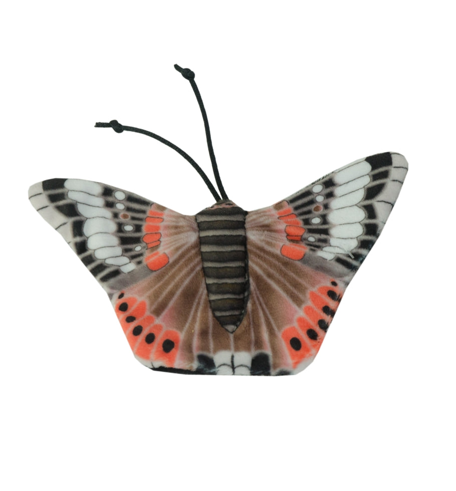 Wild Life Cat Röd Amiral Butterfly